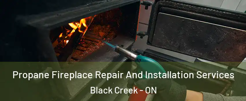  Propane Fireplace Repair And Installation Services Black Creek - ON