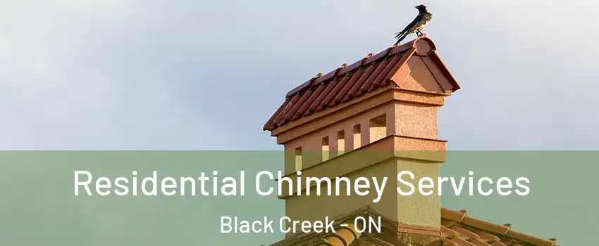  Residential Chimney Services Black Creek - ON