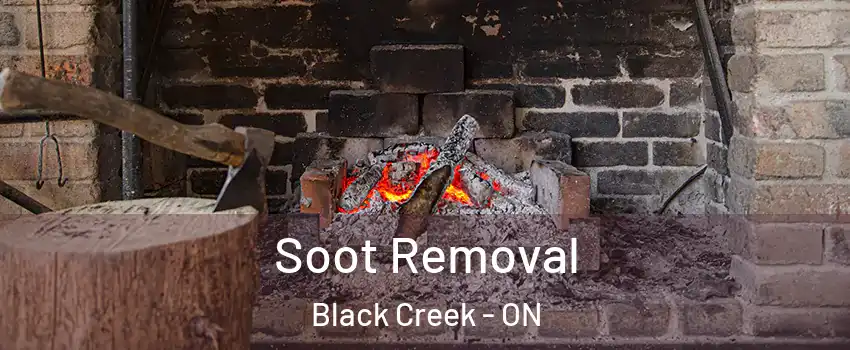  Soot Removal Black Creek - ON