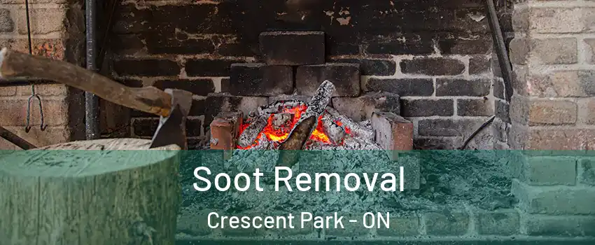  Soot Removal Crescent Park - ON