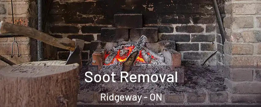  Soot Removal Ridgeway - ON