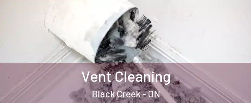  Vent Cleaning Black Creek - ON