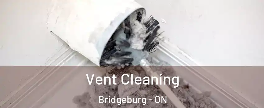  Vent Cleaning Bridgeburg - ON