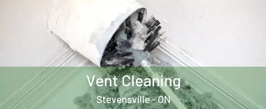  Vent Cleaning Stevensville - ON