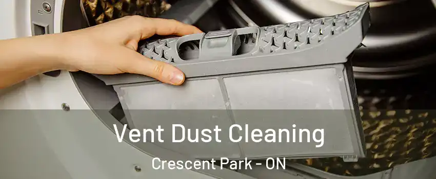  Vent Dust Cleaning Crescent Park - ON