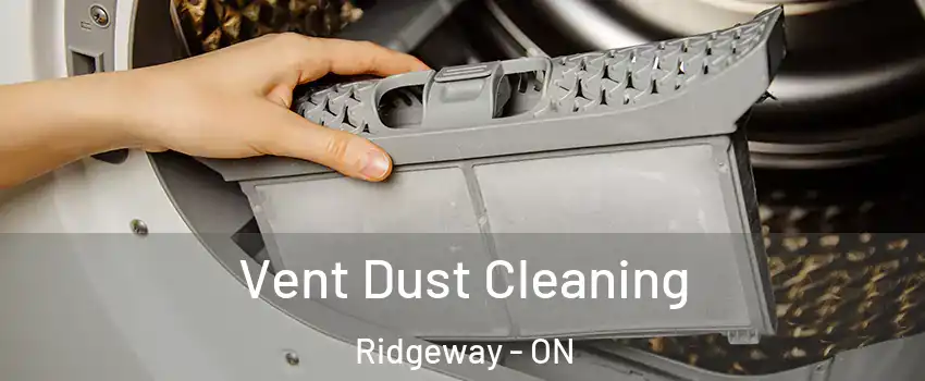  Vent Dust Cleaning Ridgeway - ON