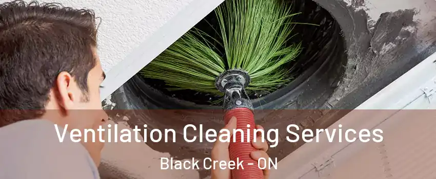  Ventilation Cleaning Services Black Creek - ON