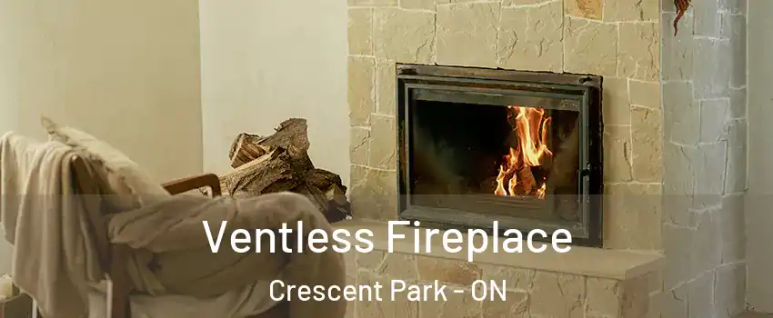  Ventless Fireplace Crescent Park - ON