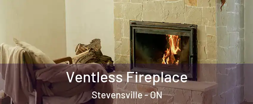 Ventless Fireplace Stevensville - ON