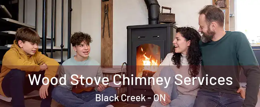  Wood Stove Chimney Services Black Creek - ON