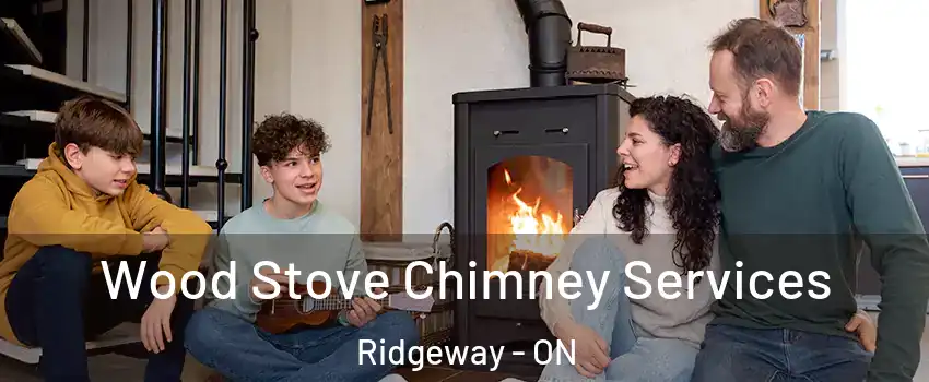  Wood Stove Chimney Services Ridgeway - ON
