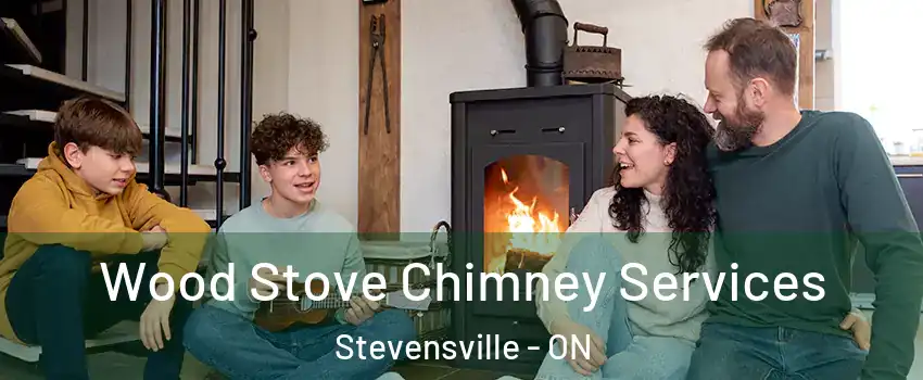  Wood Stove Chimney Services Stevensville - ON