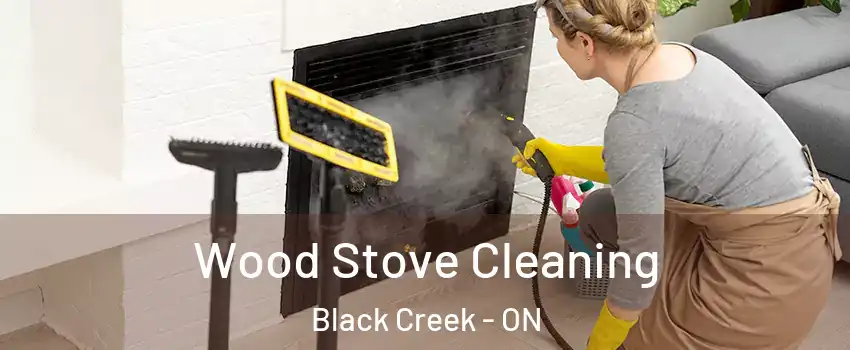  Wood Stove Cleaning Black Creek - ON