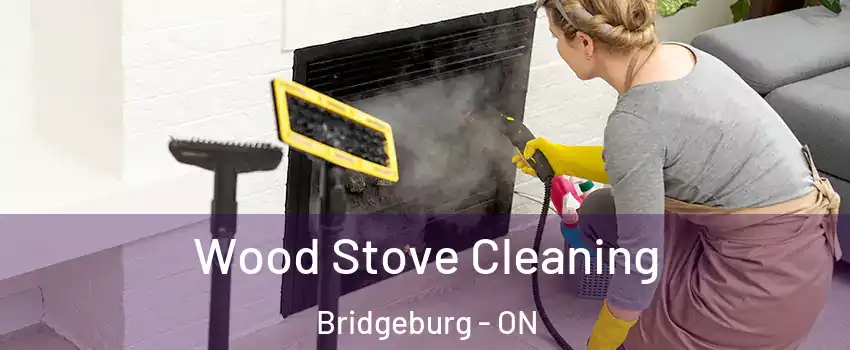 Wood Stove Cleaning Bridgeburg - ON