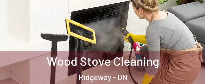  Wood Stove Cleaning Ridgeway - ON