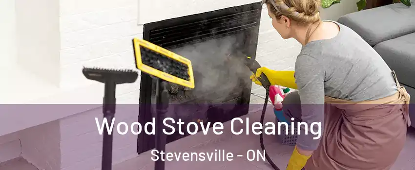  Wood Stove Cleaning Stevensville - ON