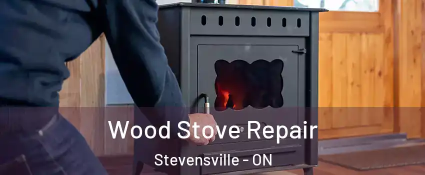  Wood Stove Repair Stevensville - ON